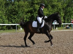 IMG_4902_web